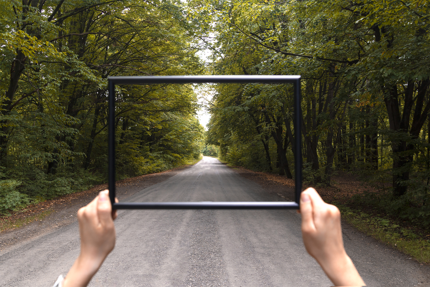 Framing Landscape While Traveling